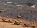 Lots more fishing boats.